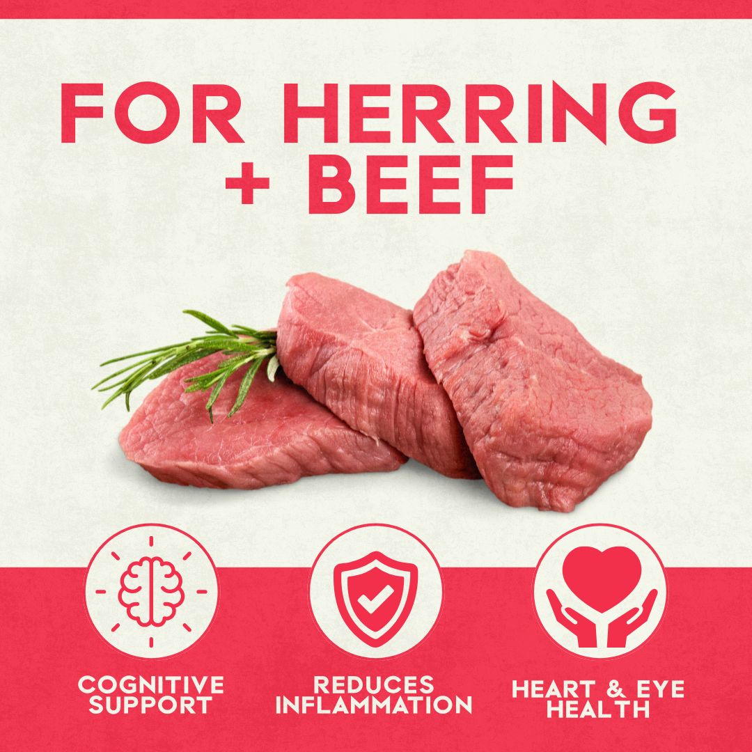 Herring + Beef