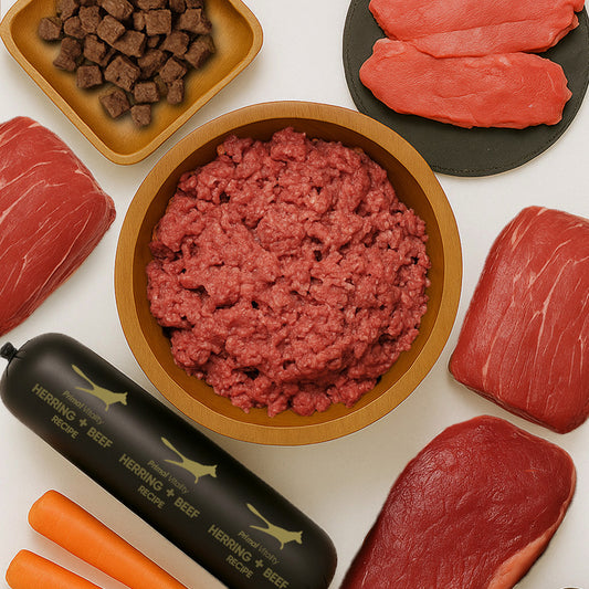 Herring + Beef